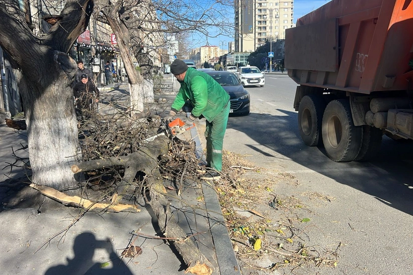Bakıda güclü külək nəticəsində 8 ağac sınıb, daha 12-sinin budaqları qırılıb - YENİLƏNİB