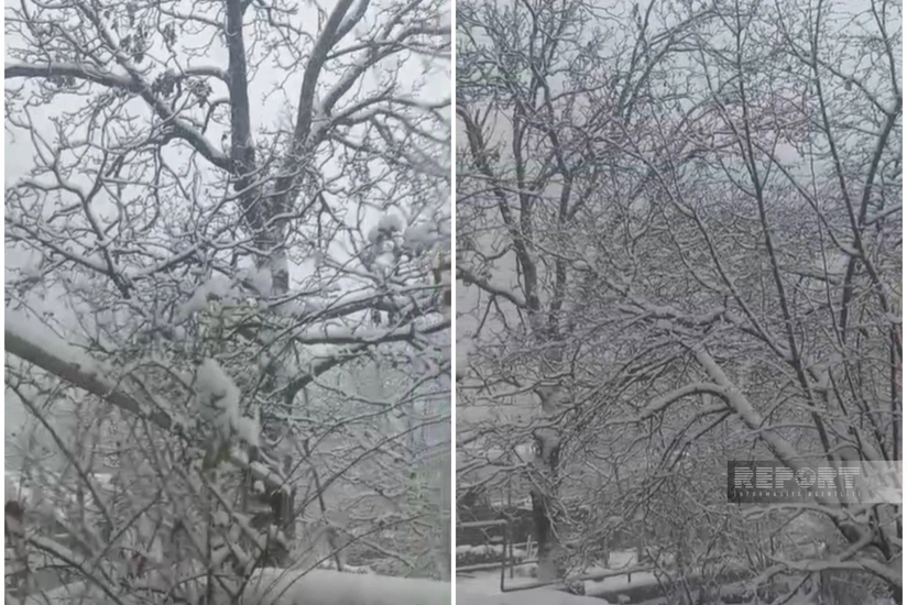 Qaxa 25 sm qar yağıb