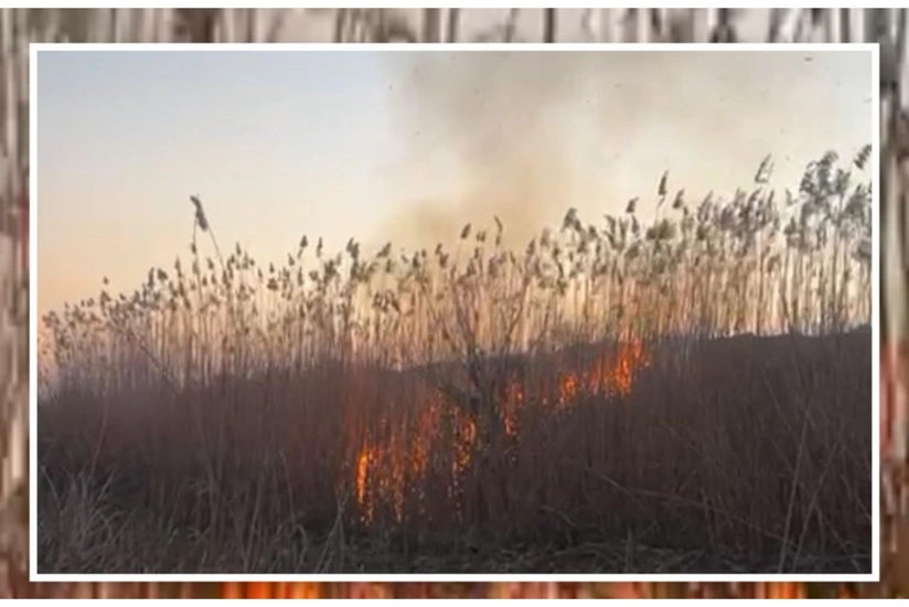 Cəbrayılda yanğın törədən şəxs məsuliyyətə cəlb olunub
