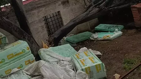 İstanbulda fırtına nəticəsində 45 ağac qopub, 89 dam uçub