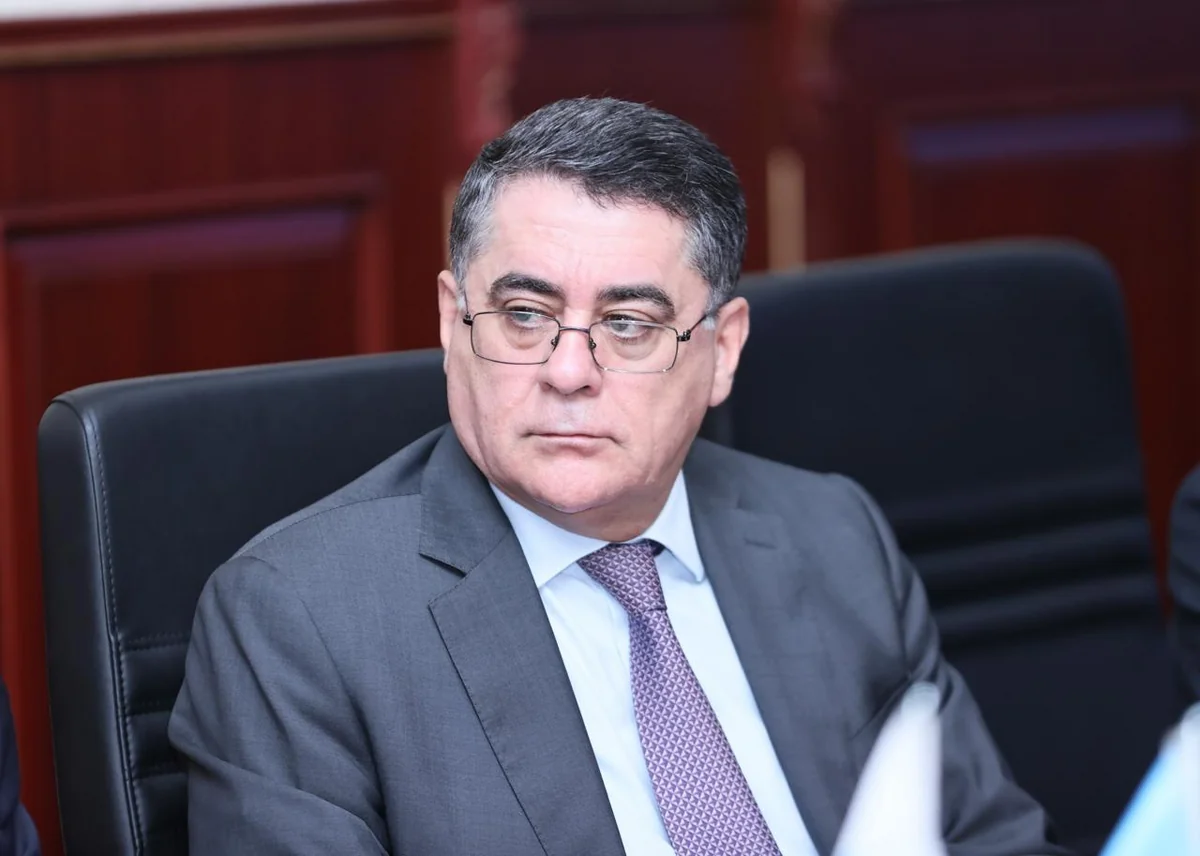 Həbib Həsənov: Milli daşıyıcıların dayanıqlılığı dövlət dəstəyi ilə birbaşa bağlıdır - MÜSAHİBƏ