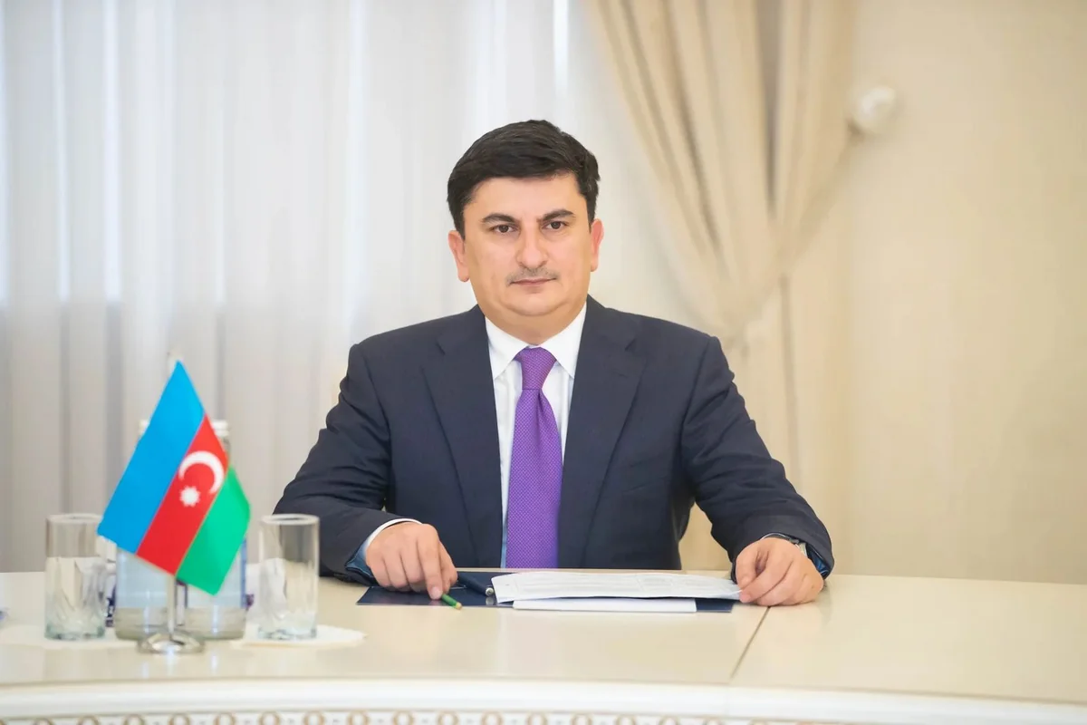 Vüqar Behbudov: Bu il daha 4 sosial xidmət mərkəzi yaradılacaq