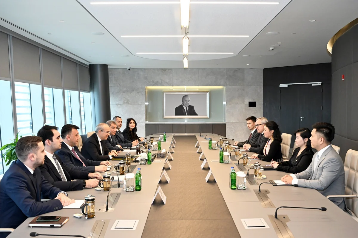 Azerbaijan, Vietnam mull joint production of electric vehicles