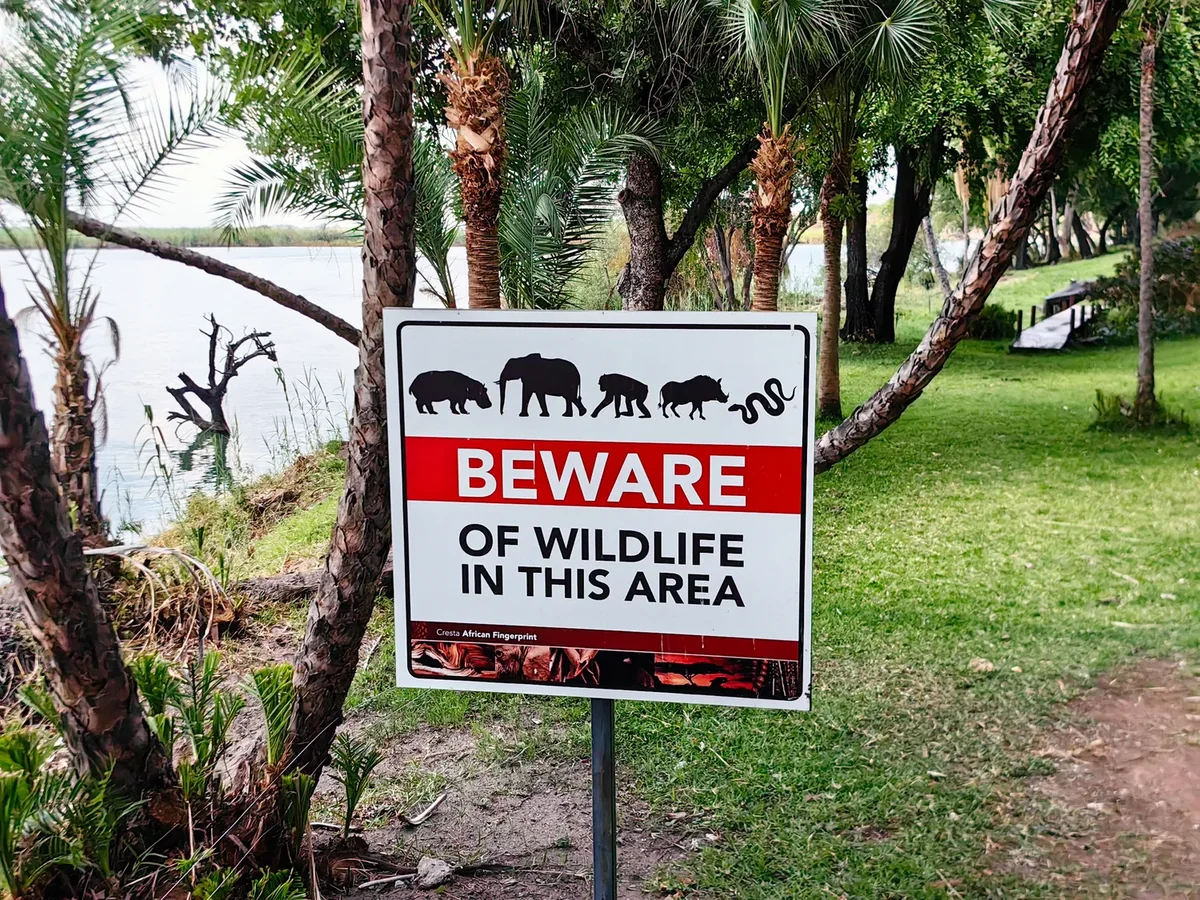 Over 600 people evacuated from South Africa's Kruger National Park