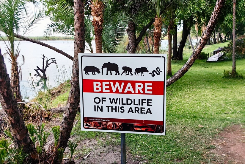 В ЮАР из крупнейшего заповедника экстренно эвакуировали более 600 человек
