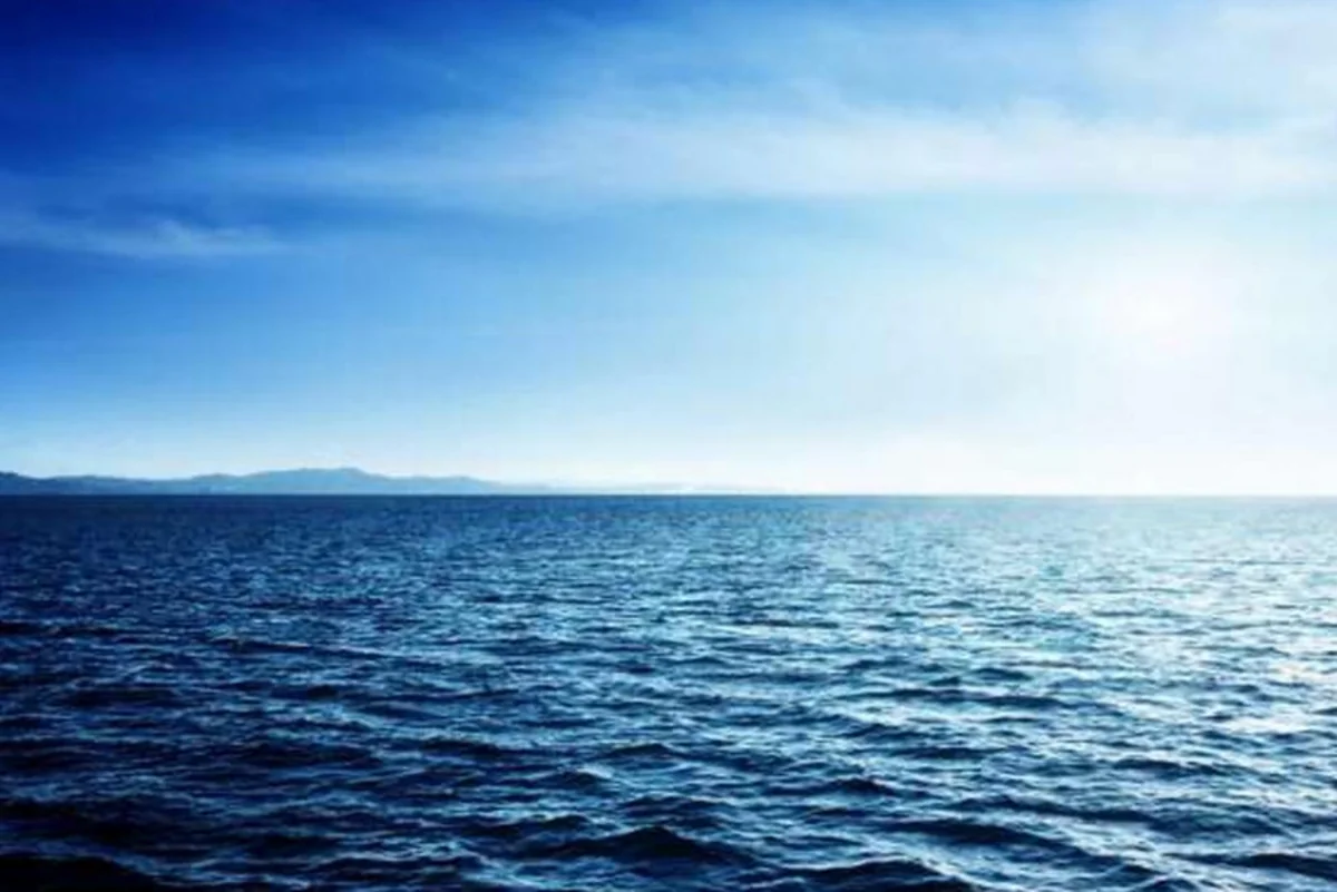 Ulviyya Seidmamedova: ADUA contract area lies in Caspian seal migration zone