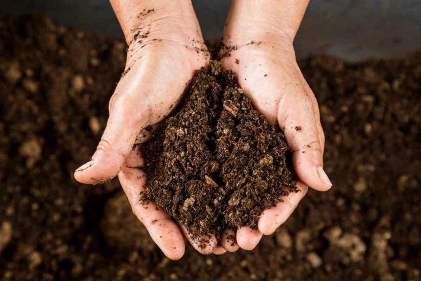 Azərbaycan Belarusdan torf tədarükünü kəskin artırıb