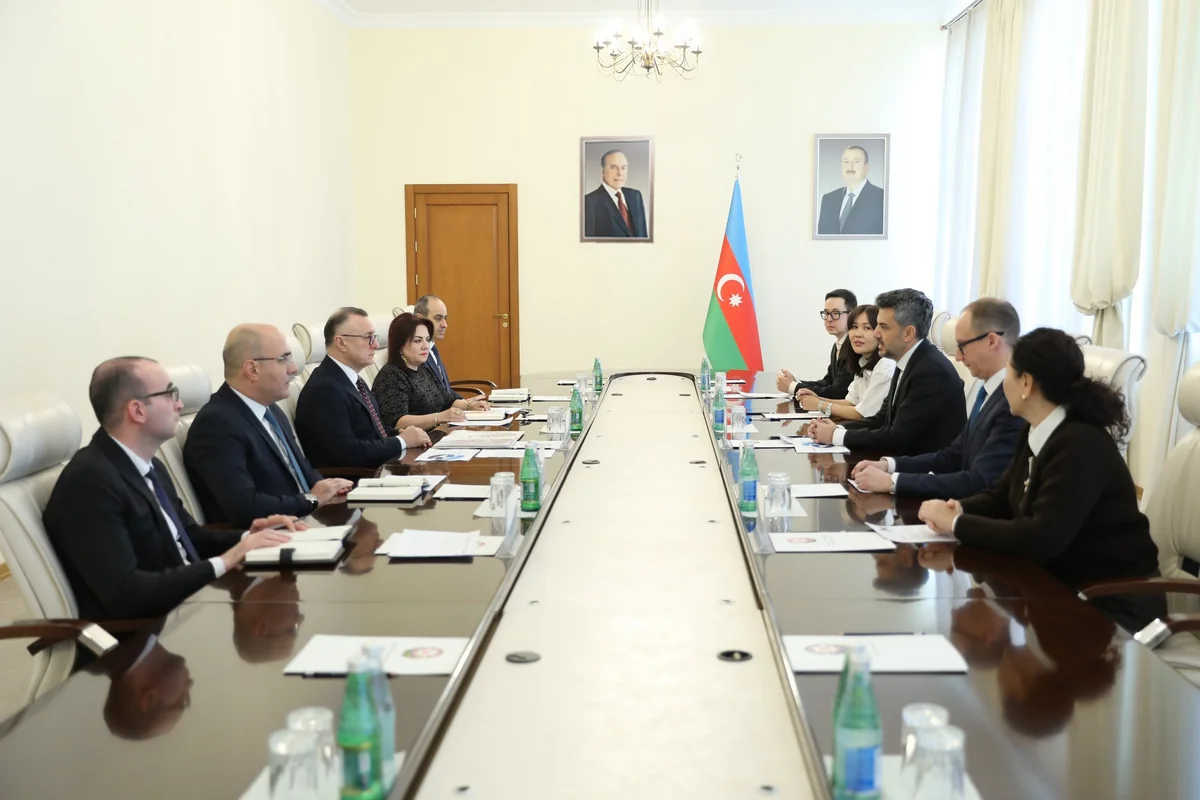 Nazir: Onkoloji xəstəliklər regionda ölüm hallarının əsas səbəblərindən biridir