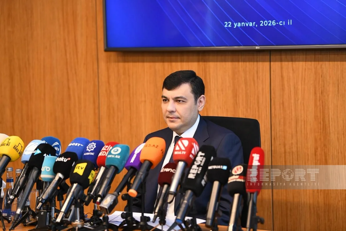 Vəli Quliyev: Distant işdə əməkhaqqının formalaşdırılması ilə bağlı hər hansı qayda yoxdur