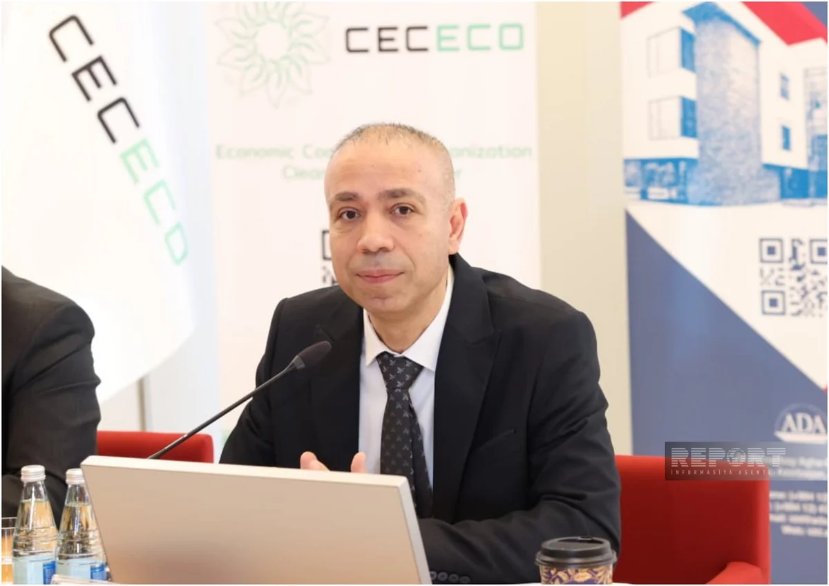 Deputy Minister: 1/3 of Azerbaijan's gas consumption goes to power generation