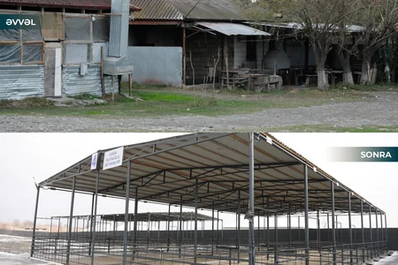 Ağcabədi heyvan bazarının fəaliyyətinə icazə verilib