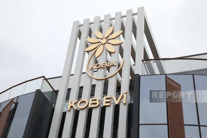 KOB evlərində ötən il sahibkarlara göstərilmiş xidmətlərin sayı açıqlanıb