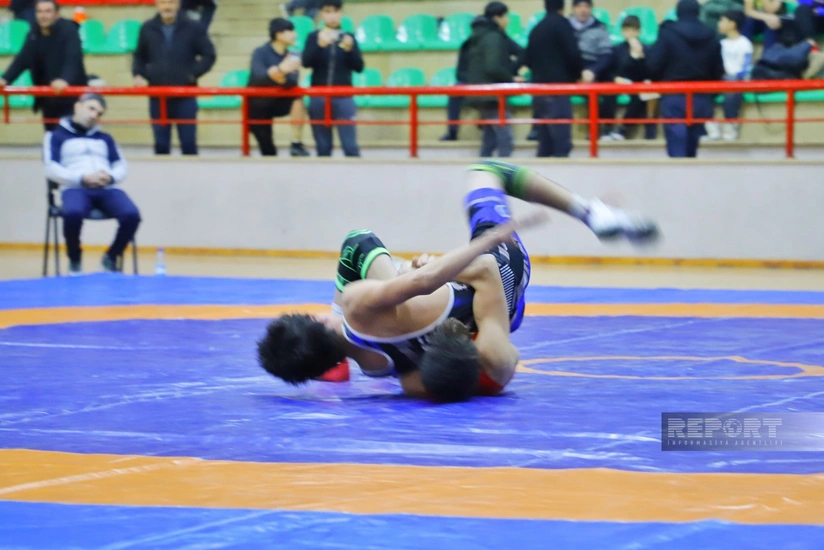 Naxçıvanda sərbəst güləş birinciliyi başa çatıb