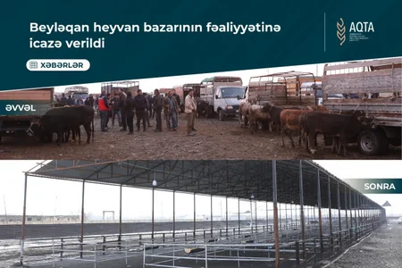 Beyləqan heyvan bazarının fəaliyyətinə icazə verilib
