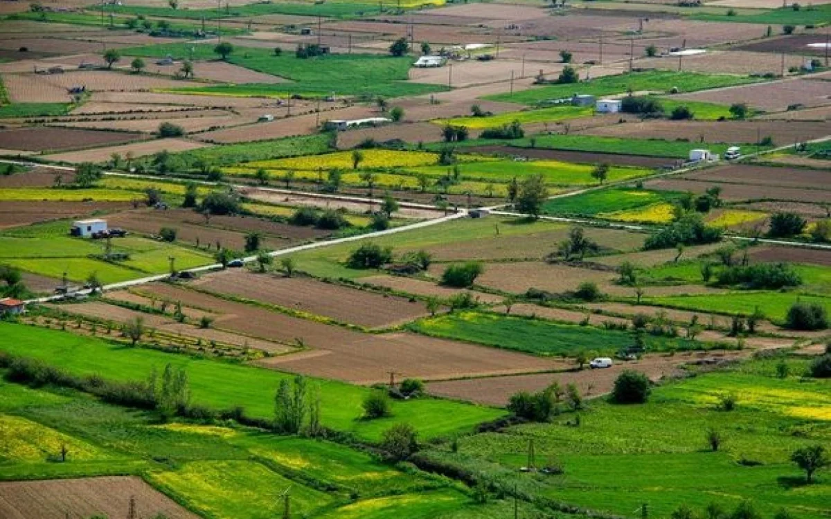 Azərbaycanda ötən il 226 hektar torpaq sahəsinin kateqoriyası dəyişdirilib