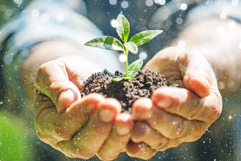 Azərbaycan ətraf mühitin mühafizəsi xərclərini 3 % artırıb