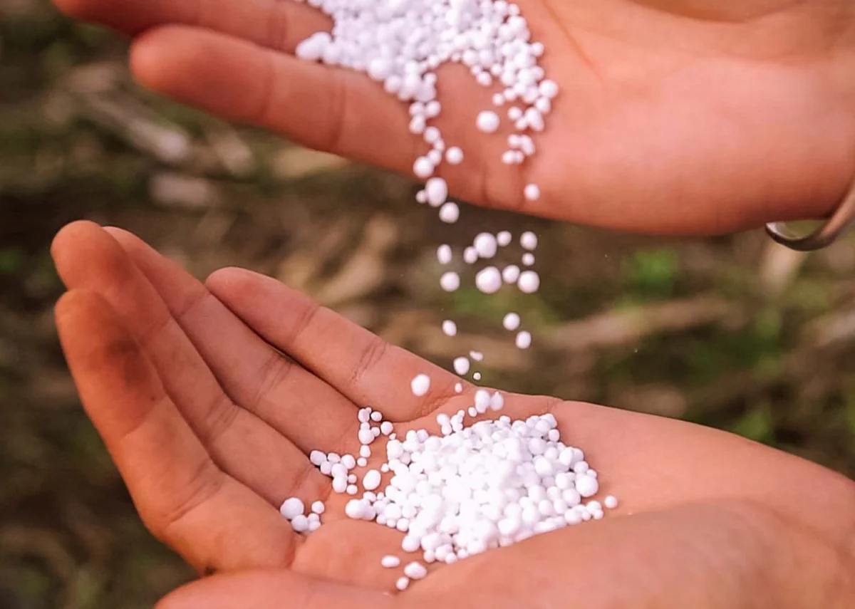 Value of Azerbaijan's nitrogen fertilizer exports rises by over 35%