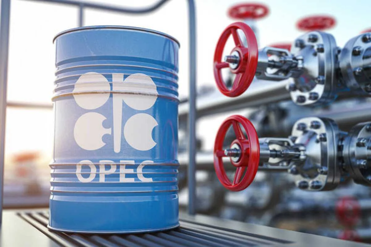 Фонд OPEC направит до $400 млн в экономику Казахстана
