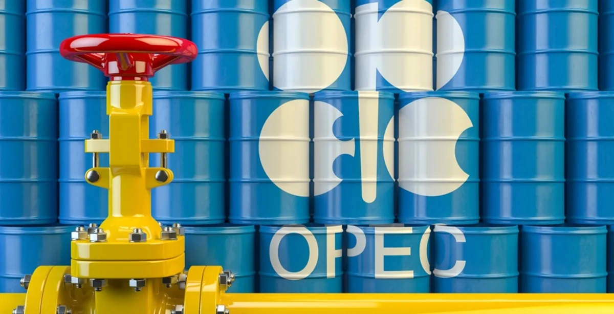 В РФ заявили, что ОПЕК+ ждут постепенного роста мирового спроса на нефть с марта
