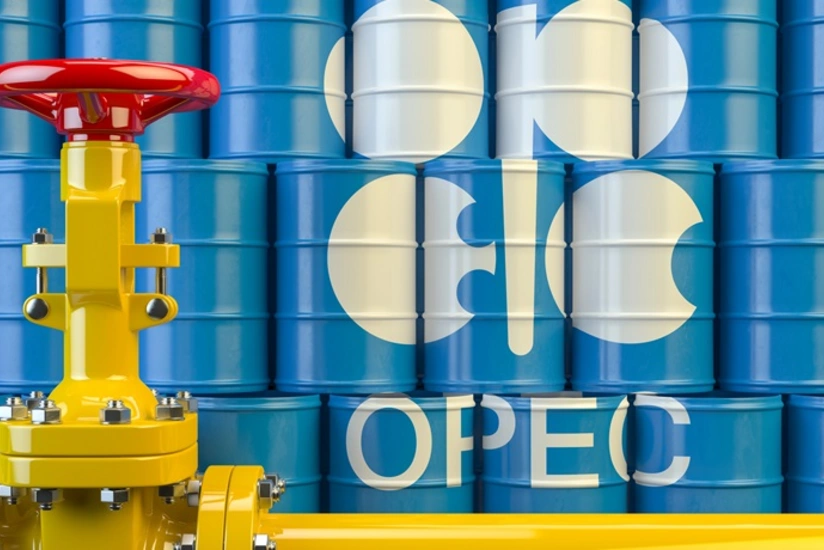 В РФ заявили, что ОПЕК+ ждут постепенного роста мирового спроса на нефть с марта