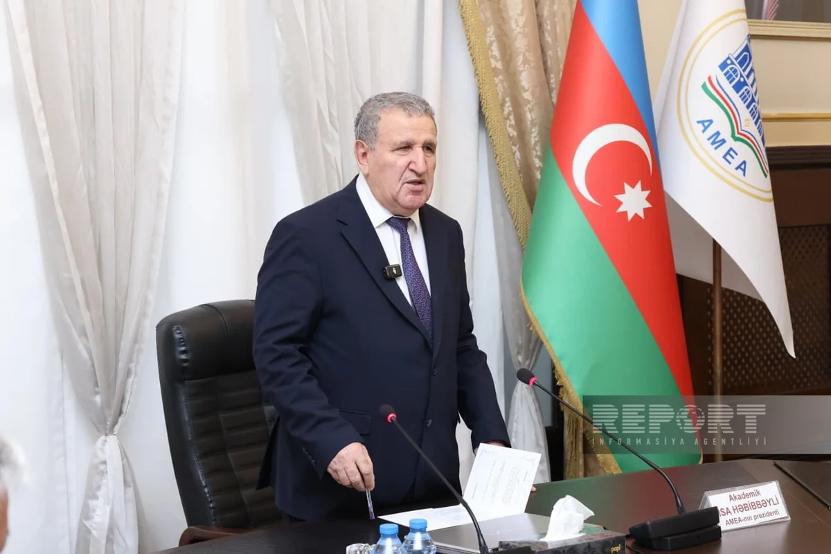 İsa Həbibbəyli: Nəvainin Azərbaycanda ən böyük arxivi var