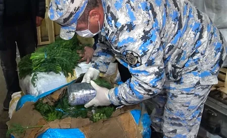 В Астаре в грузе зелени обнаружена крупная партия наркотиков