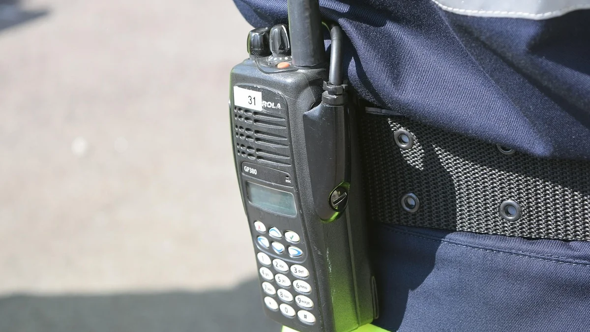 В Казахстане задержаны 20 представителей ОПГ