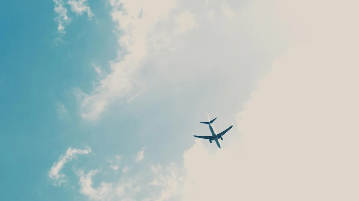 Əlcəzair BƏƏ ilə aviasiya əlaqəsi barədə razılaşmanı ləğv edir
