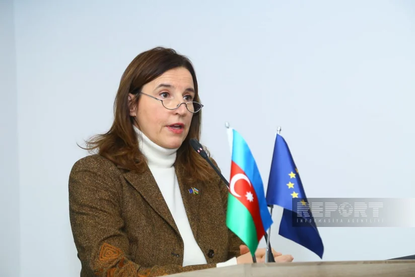 EU ambassador praises Azerbaijan's climate efforts