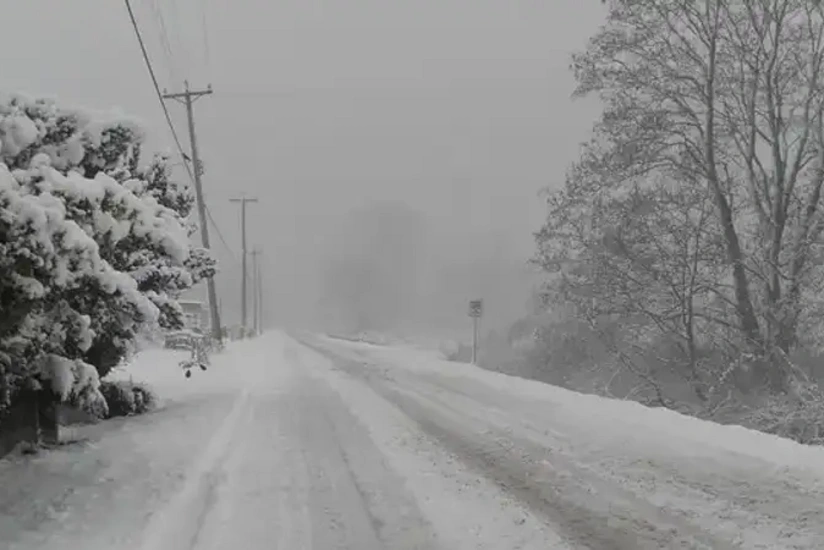 В Абайской области Казахстана 20 человек спасены из снежного заноса
