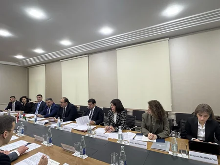 Azərbaycan və Macarıstan konsulluq sahəsində yeni ikitərəfli sənədlərin imzalanmasını müzakirə edib