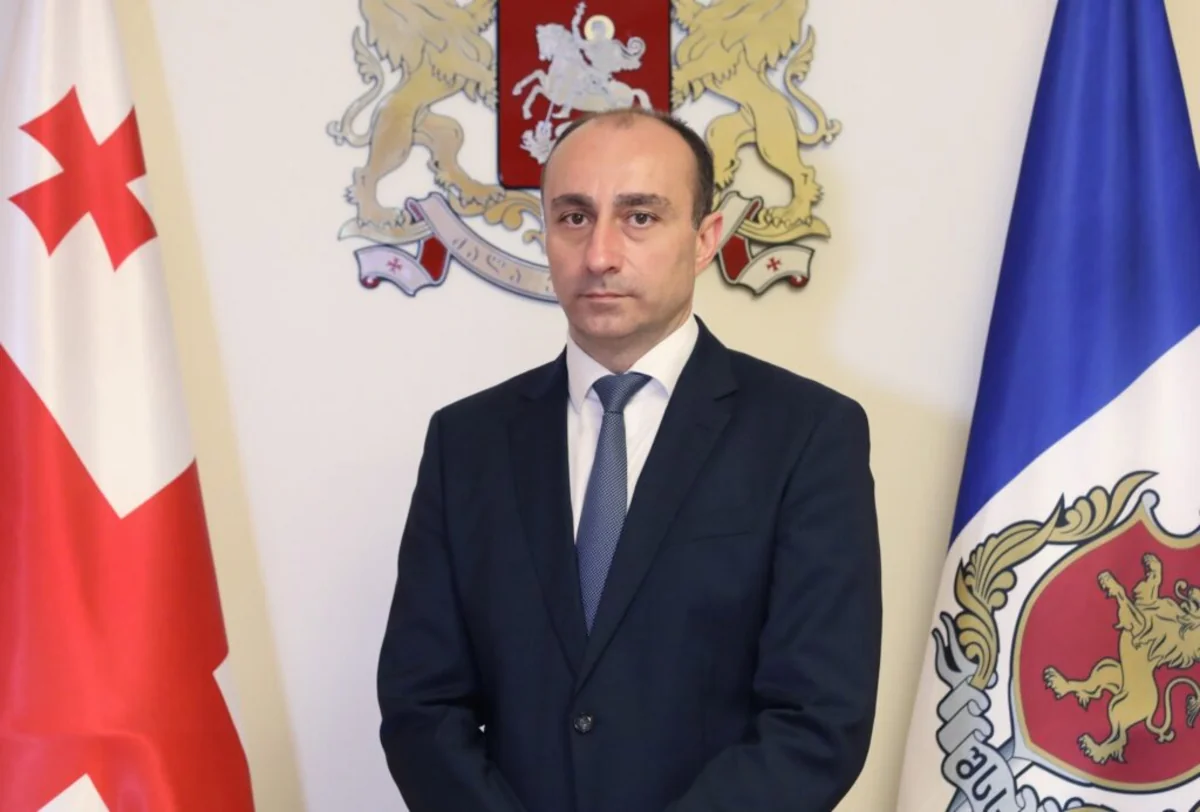 Gürcüstan bu il 4 000-ə yaxın qanunsuz miqrantı ölkədən çıxarmağı planlaşdırır