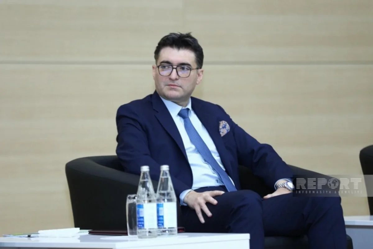 Орхан Зейналов: Азербайджан до 2027 года сможет занять до 20% газового рынка Сербии