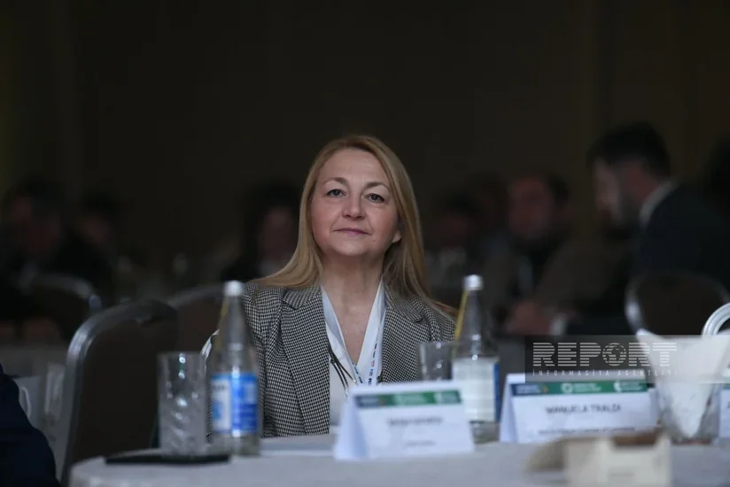 Italy to support Azerbaijan's expansion in its market