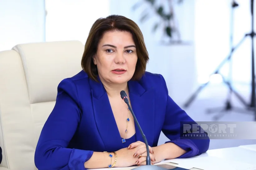 Vüsalə Mahirqızı: Azərbaycanda xəbərdəki səhvləri düzəldən bir çox elektron alətlər yenilənməlidir