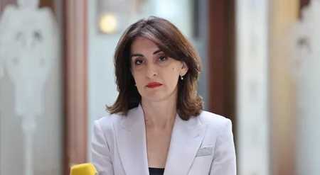 Gürcüstanın xarici işlər naziri: Aİ-nin Tbilisiyə təzyiqi səhvdir