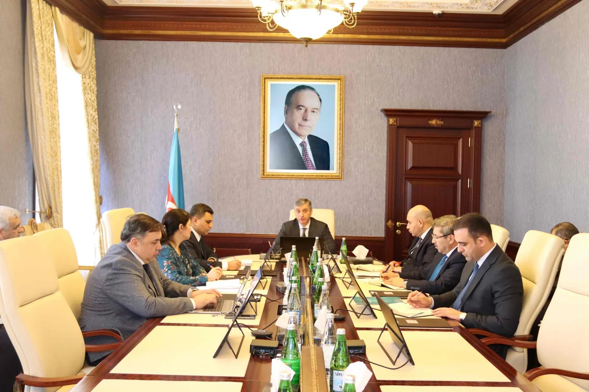 Hesablama Palatasının sədri audit nəticələrinin sürətli rəsmiləşdirilməsi ilə bağlı tapşırıq verib