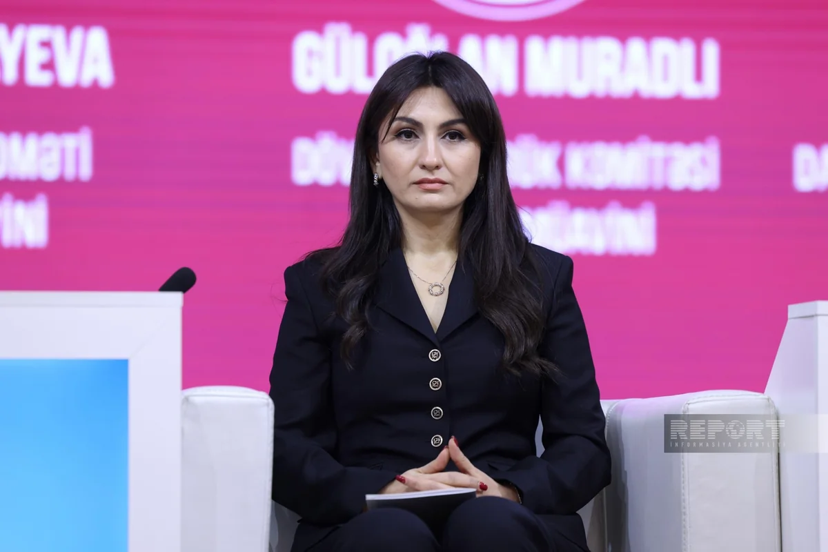Самира Мусаева: В судах оспаривается около 15% выездных налоговых проверок