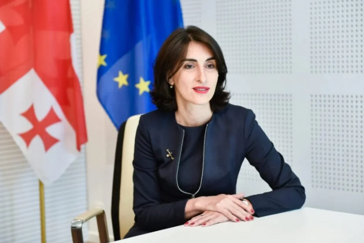 Maka Boçorişvili: Abxaziya və Sxinvali bölgəsi hələ də işğal altındadır