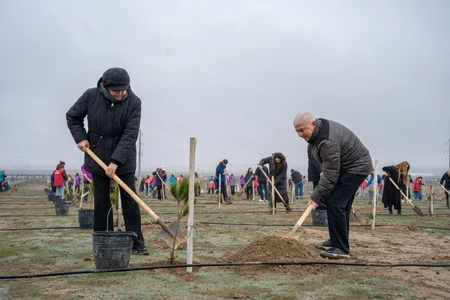 Tree-planting event held in Baku in memory of Khojaly victims