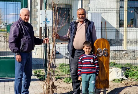 Zəngilan və Cəbrayıla yeni köçən sakinlərə meyvə tingləri paylanılıb