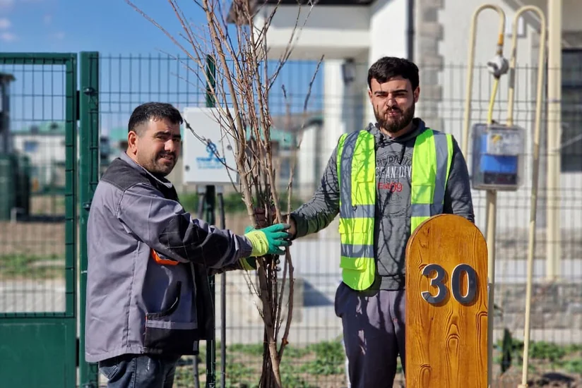 Zəngilan və Cəbrayıla yeni köçən sakinlərə meyvə tingləri paylanılıb