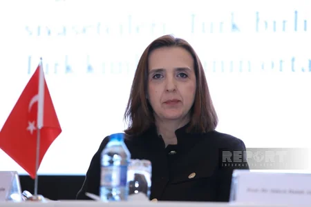 Bakıda beynəlxalq elmi konfransda Mahmud Qaşqarlı paneli keçirilib