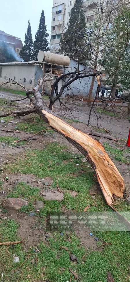 Gəncədə güclü külək uşaq bağçasının dam örtüyünü uçurub