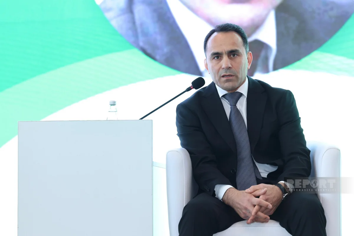 Olimpiya çempionu: Azərbaycanlı mütəxəssislər hər zaman öz sözlərini deyiblər