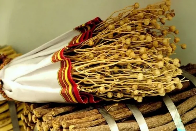 Dövlət Dəniz və Liman Agentliyi üzərliklə bağlı dənizçilərə xəbərdarlıq edib