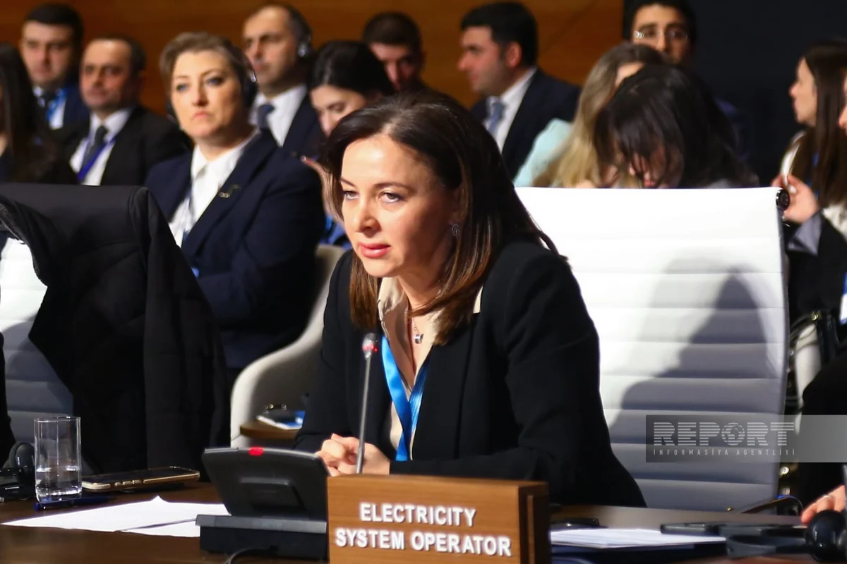 Лидия Салахова: AGSC за 5 лет продал около 7 млрд кубометров газа на спотовом рынке Европы