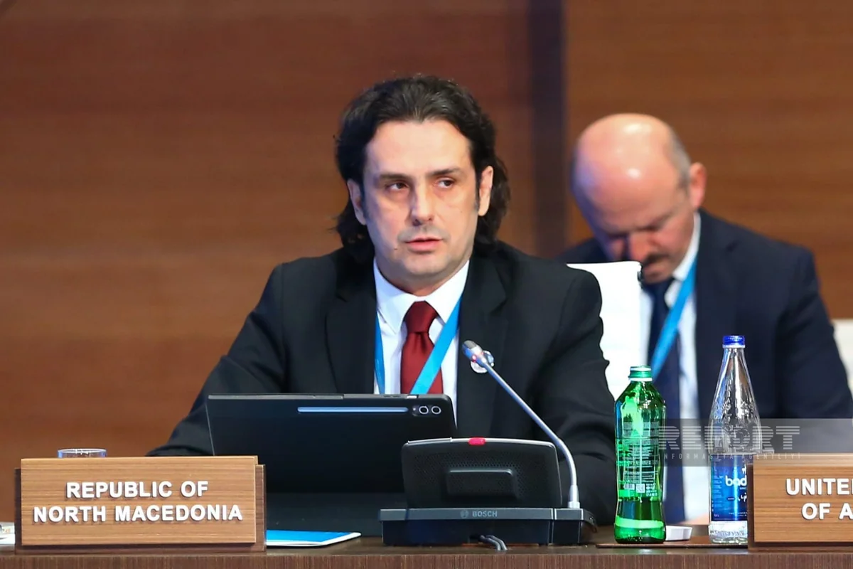 Goran Nikolovski: SGC holds central place in North Macedonia's gas supply strategy