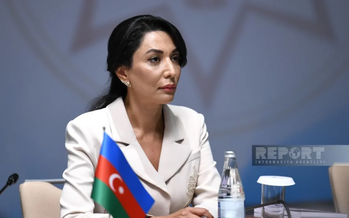 Azerbaijani ombudsman issues statement on Iranian drone attacks