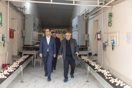 Məcnun Məmmədov Xızı və Abşeronda quşçuluq müəssisələrinin fəaliyyəti ilə tanış olub